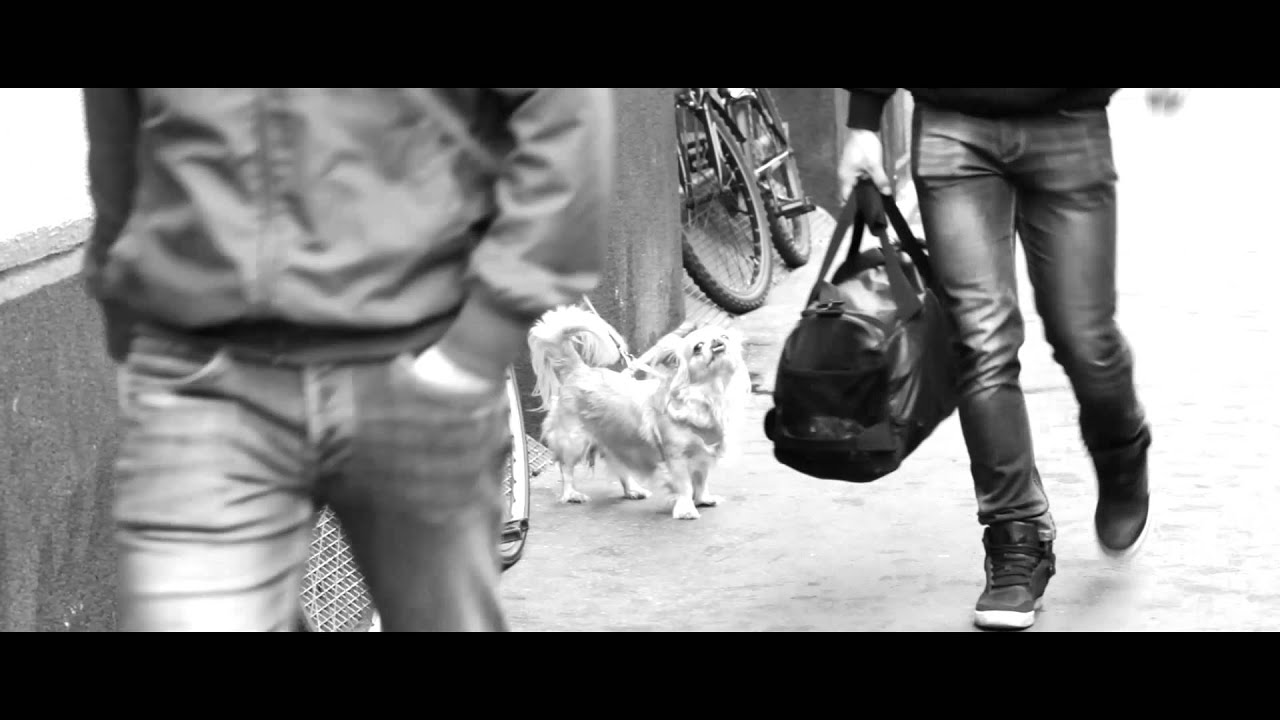 L&ouml;v&ouml;lde-t&eacute;r