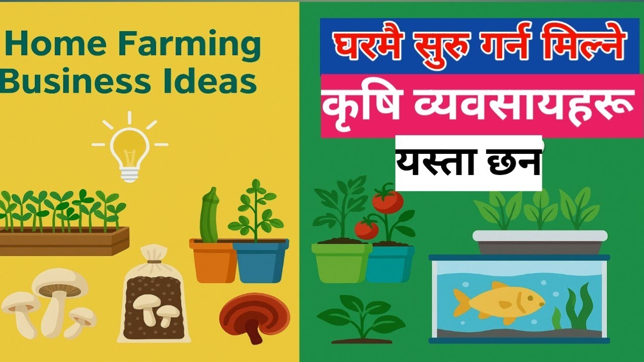 Home farming business ideas 💡|| घरमै सुरु गर्न मिल्ने कृषि व्यवसाय | Home Business Ideas in Nepali