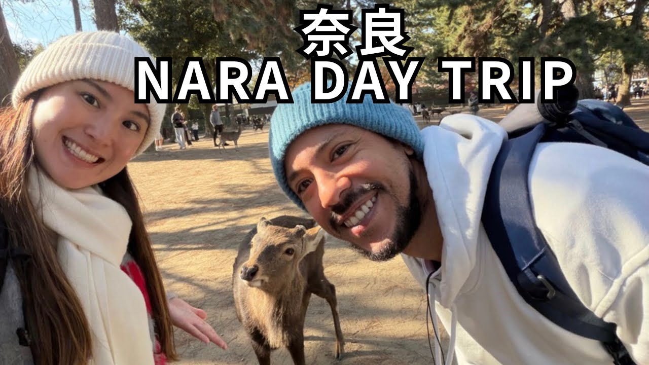 【日帰り】奈良モデルコース｜鹿と大仏の理由を知る。外国人彼と巡るVlog