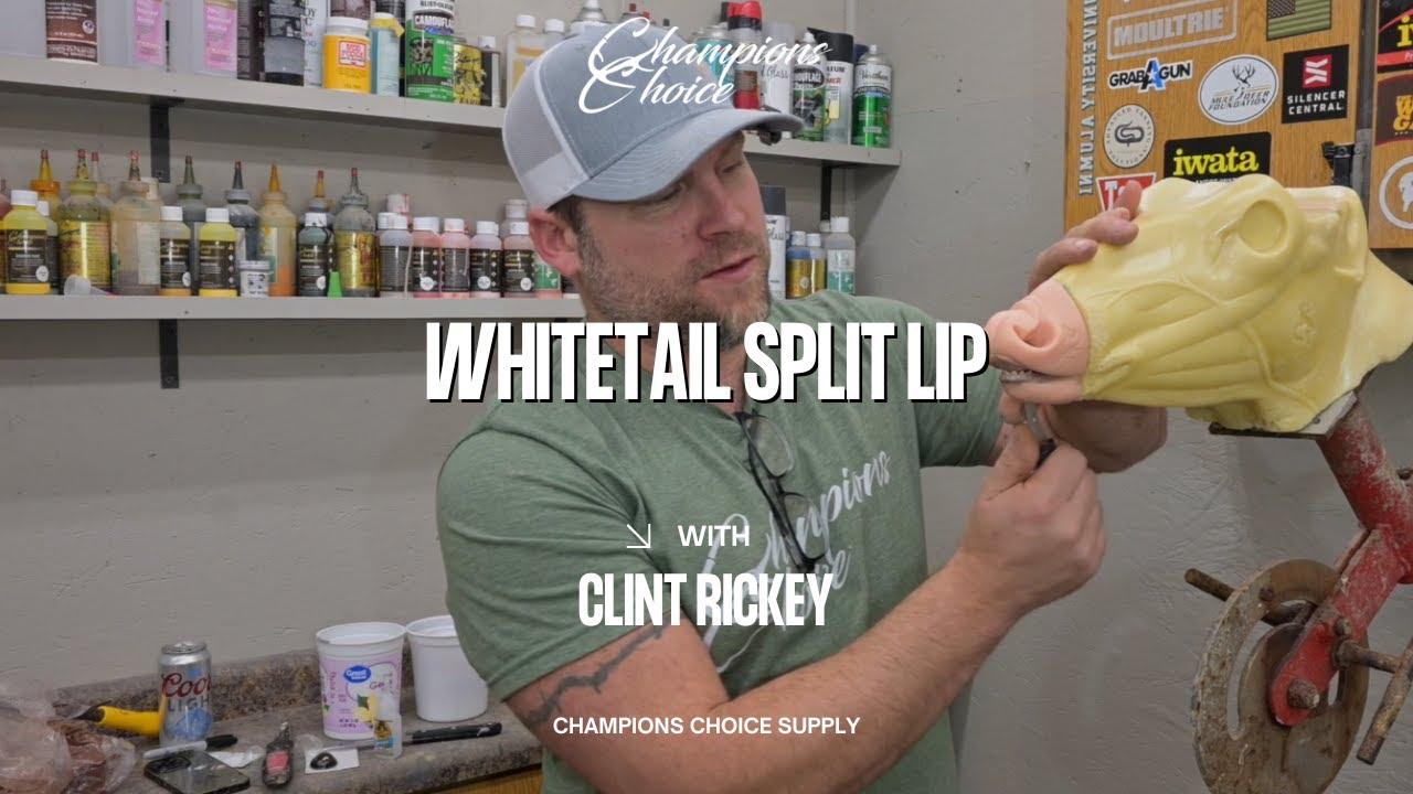 Whitetail Taxidermy: Achieving a Natural, Split Lip Open Mouth