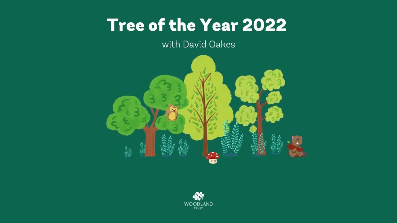 Tree of the Year 2022 - A Story (with David Oakes)