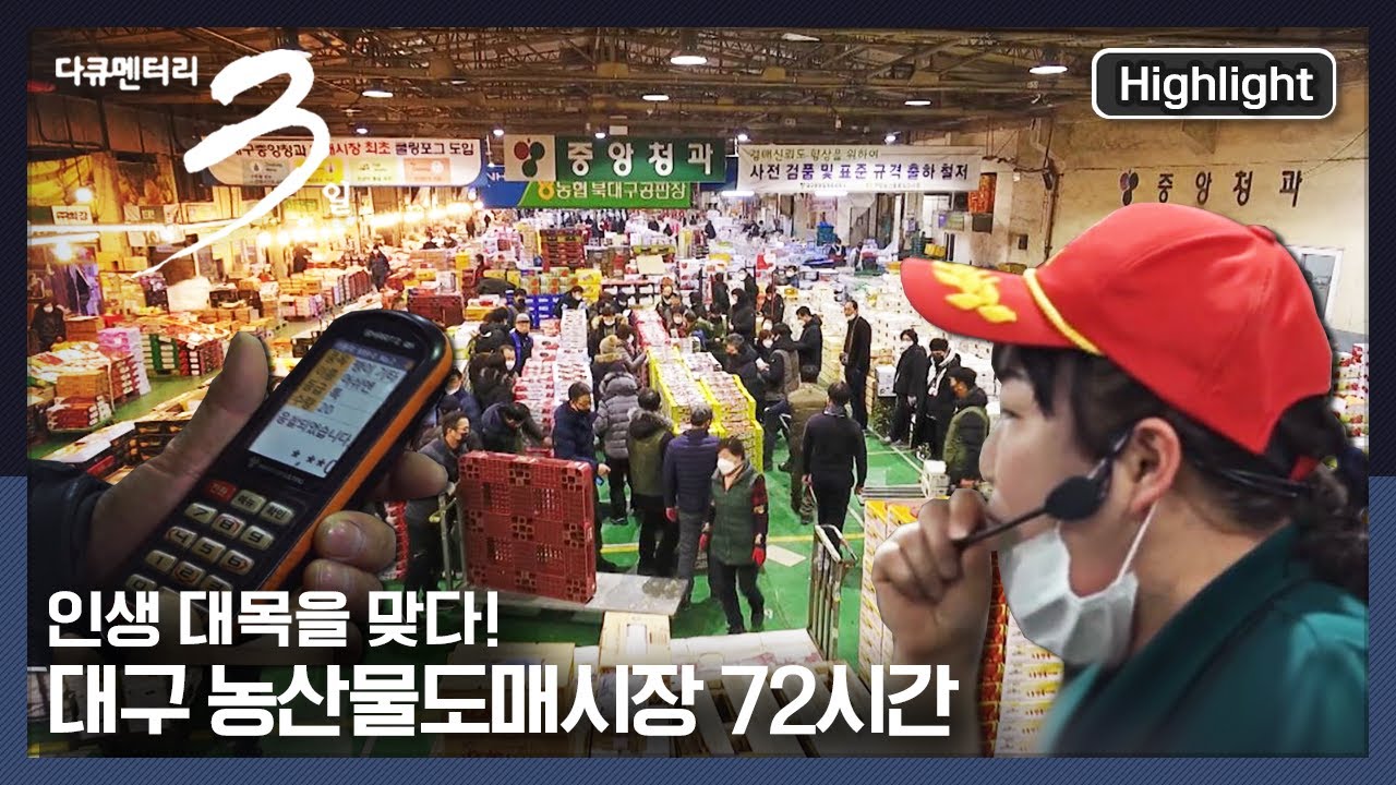 [다큐멘터리3일] 한강 이남 최대 도매시장, 대구 농산물도매시장에 다시 온 대목! | &ldquo;다시, 대목-대구 농산물도매시장 72시간&rdquo; (KBS 210228 방송)