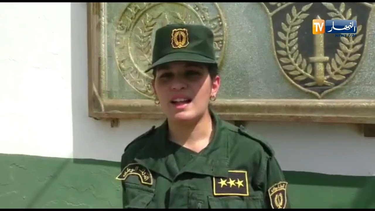 غليزان: الاطاحة بشبكتين تتاجران بالاقراص المهلوسة واسترجاع سيارة مزورة الوثائق