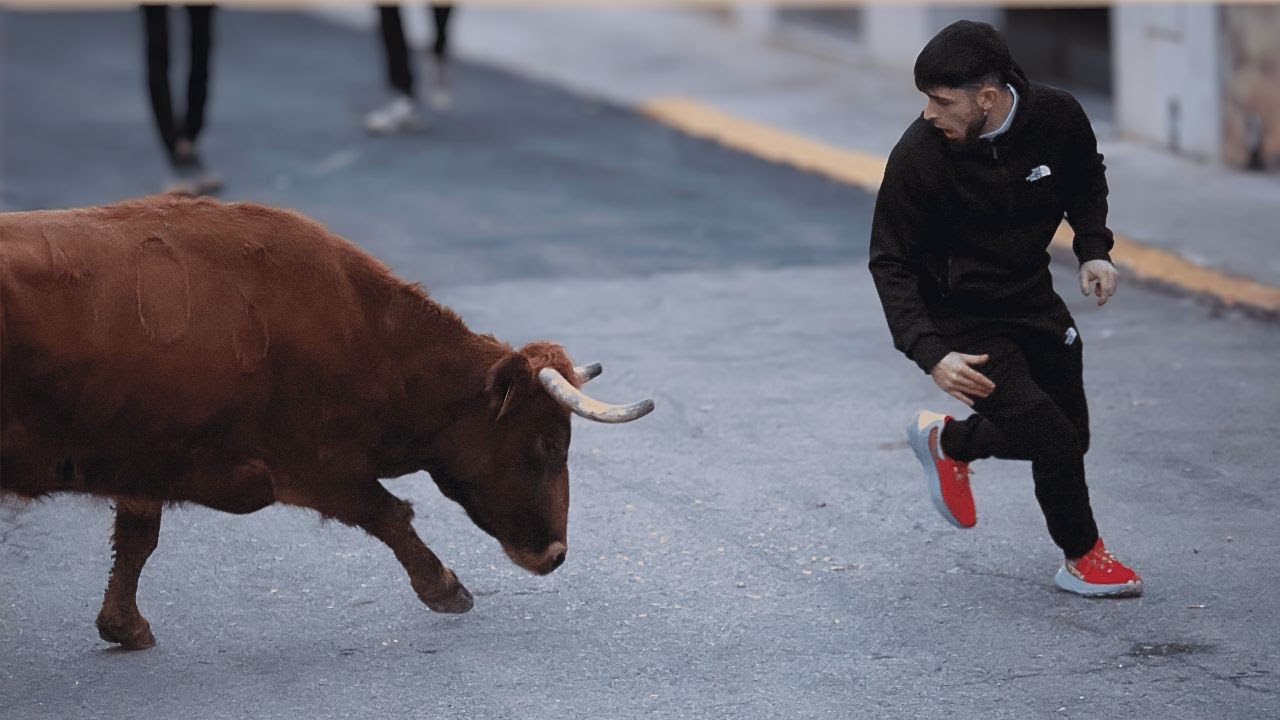 PRIMERA TARDE DE SANT ANTONI BETXÍ 2026!!! | Novillo y vacas de Capota y Fuente Ymbro