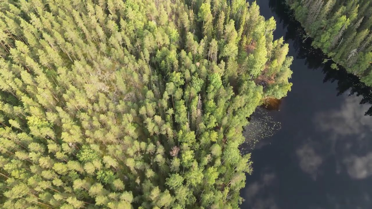 1 Minute of Pure Finnish Wilderness | Helvetinjärvi 4K