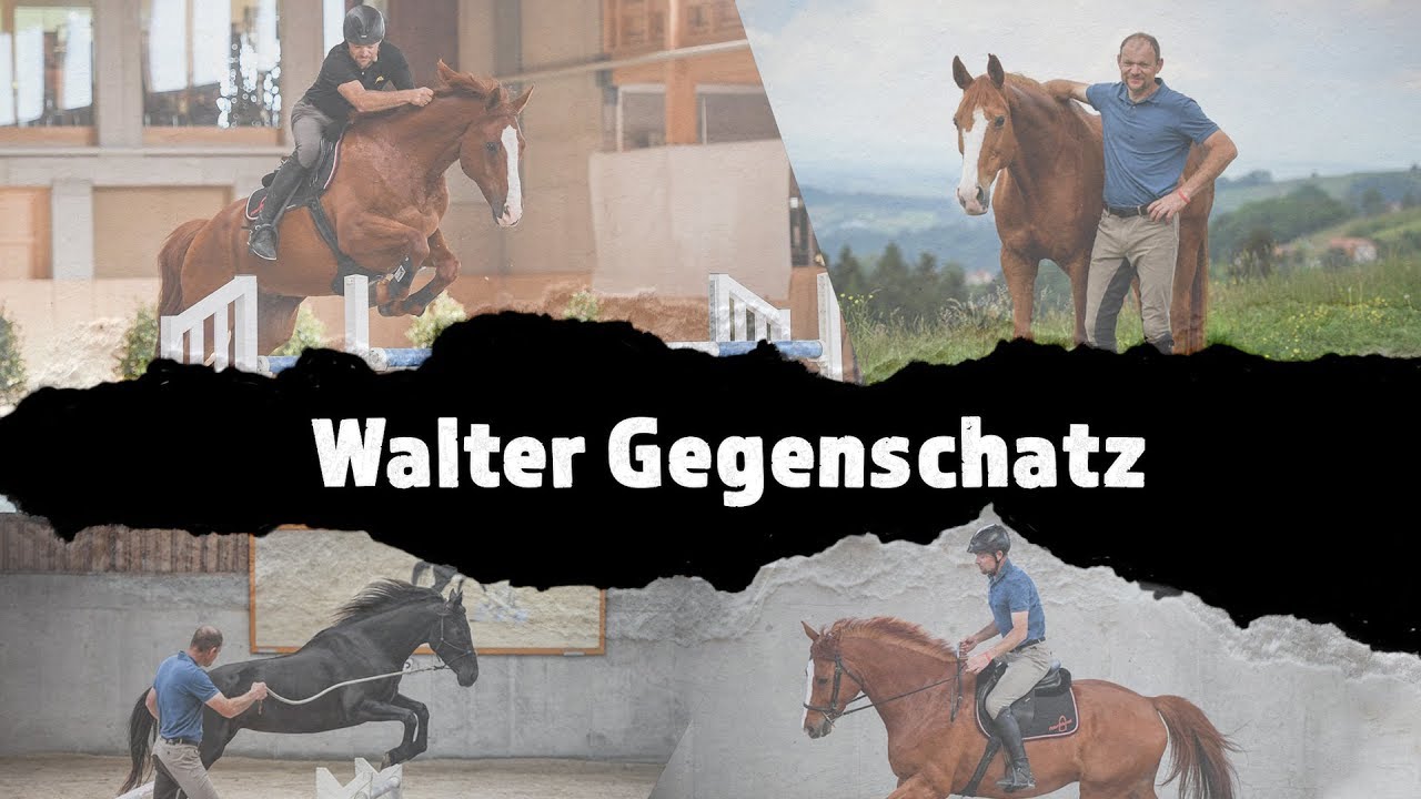 MUSTANG MAKEOVER Trainervorstellung Walter Gegenschatz  Parelli 5* Instruktor