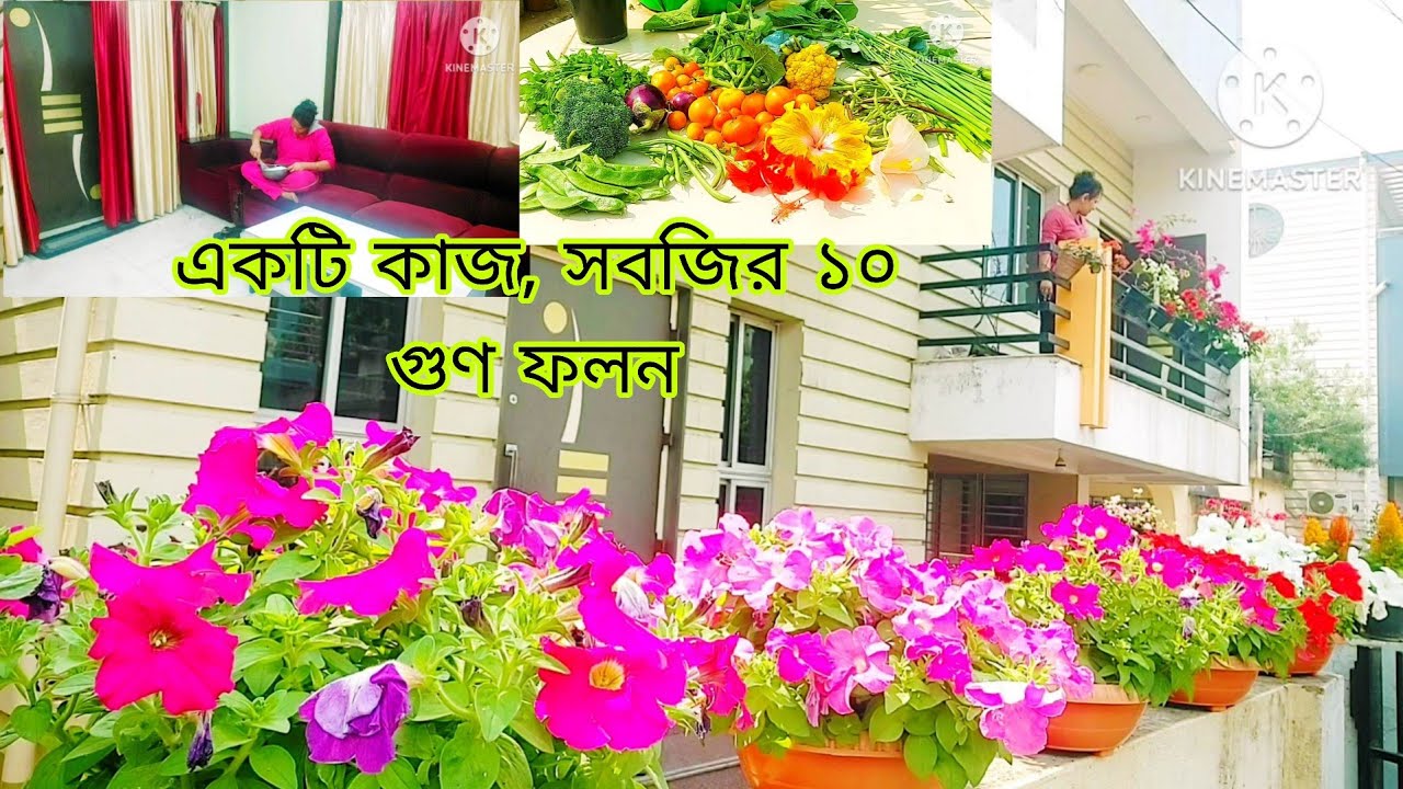 Ekti kajei folon habe 10 gun. Tar janno kono kharoch habe na. #roofgarden