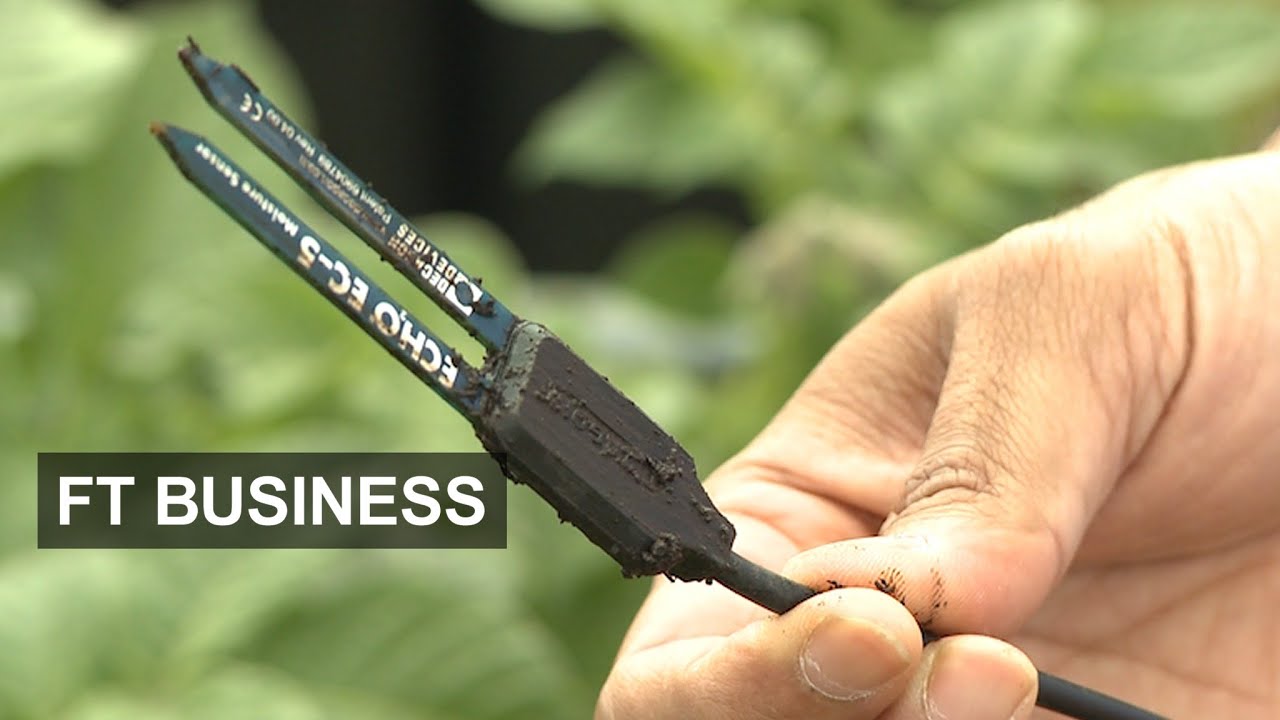 Is the UK bad at innovation? | FT Business