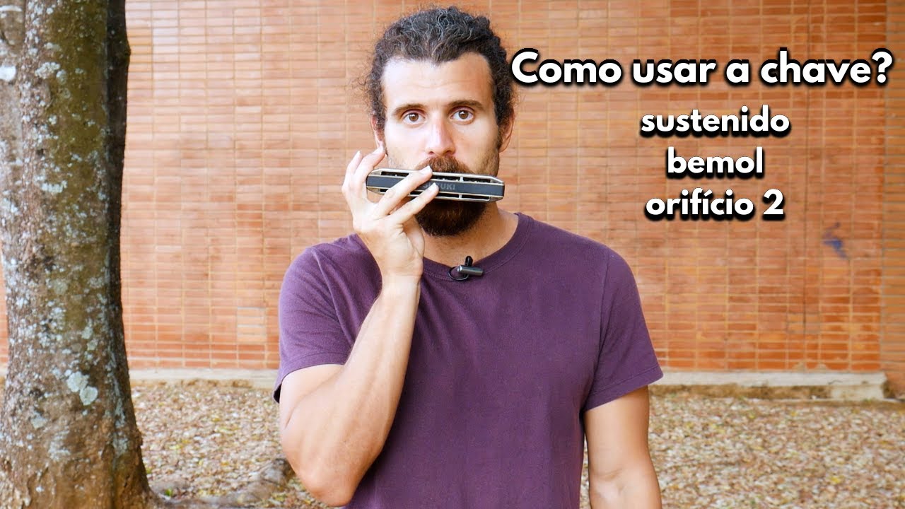 Como usar a CHAVE na GAITA CROMÁTICA? Sustenido e Bemol - Lessa Responde #10