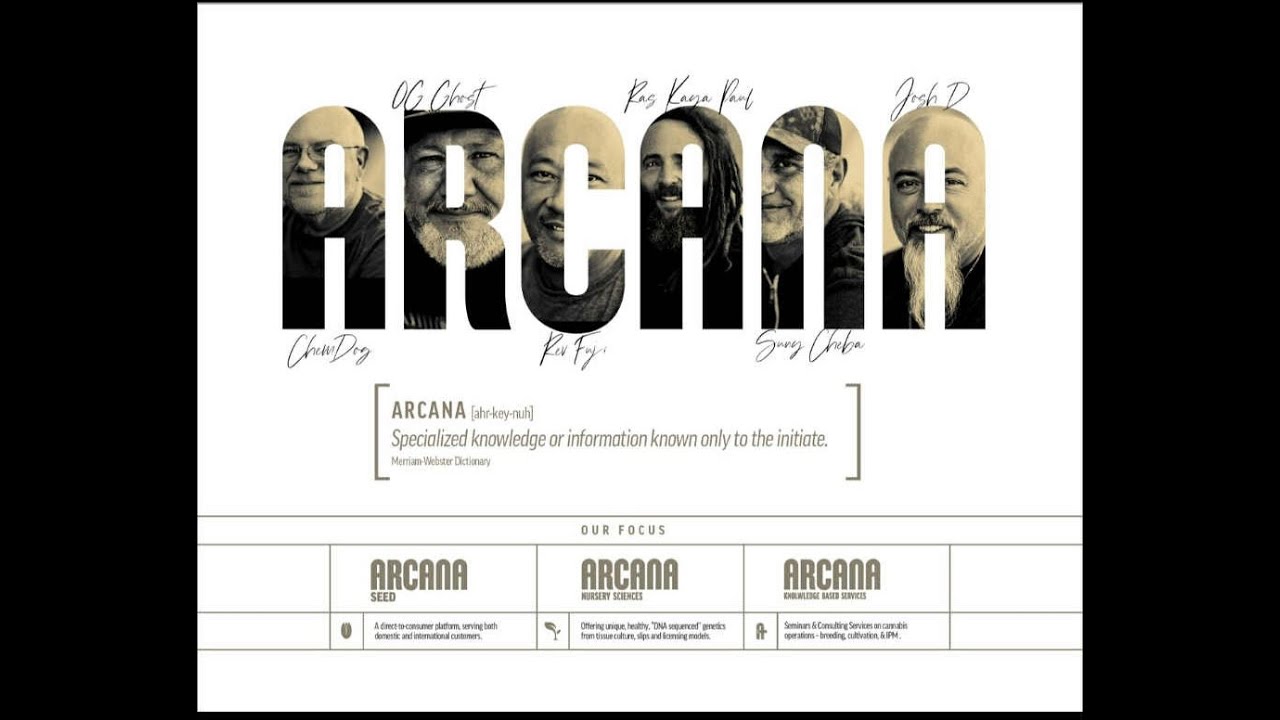 Hash Church Season 11, Episode 45 Arcana Collective Episode
