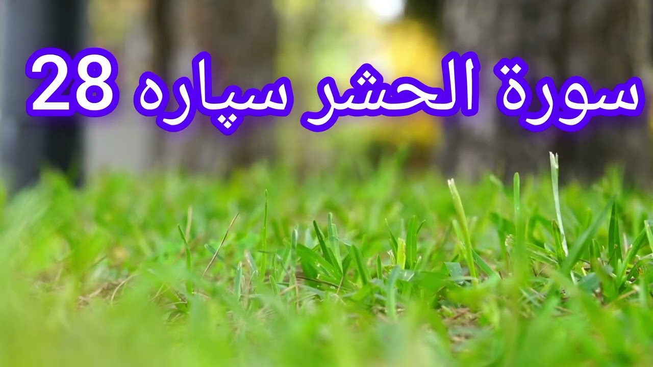 سورۃ الحشر کی پُرسوز تلاوت | دل کو چھو لینے والی آواز | Surah Al-Hashr Beautiful Recitati۔