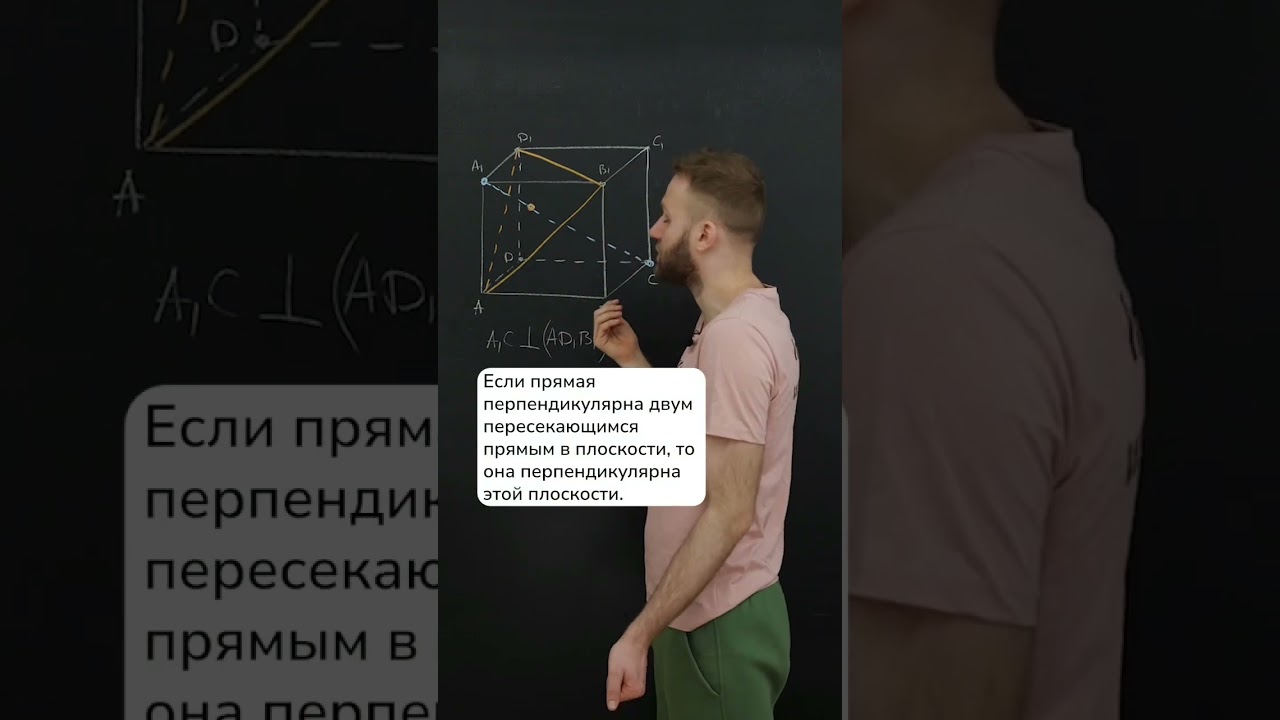 Факт, который точно пригодится на ЕГЭ 