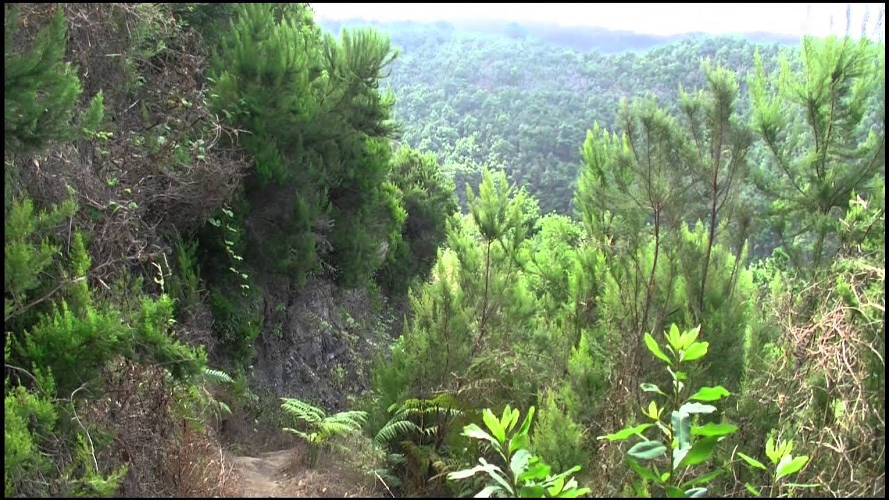 La Palma - Wandern auf 