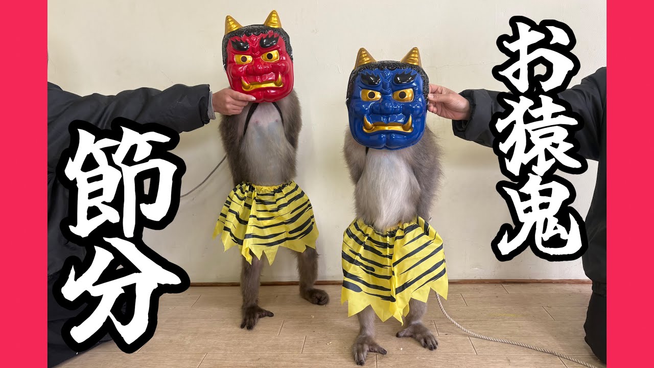 節分と言う名の豆食べまくりパーティー【戦豆の猿まわし】