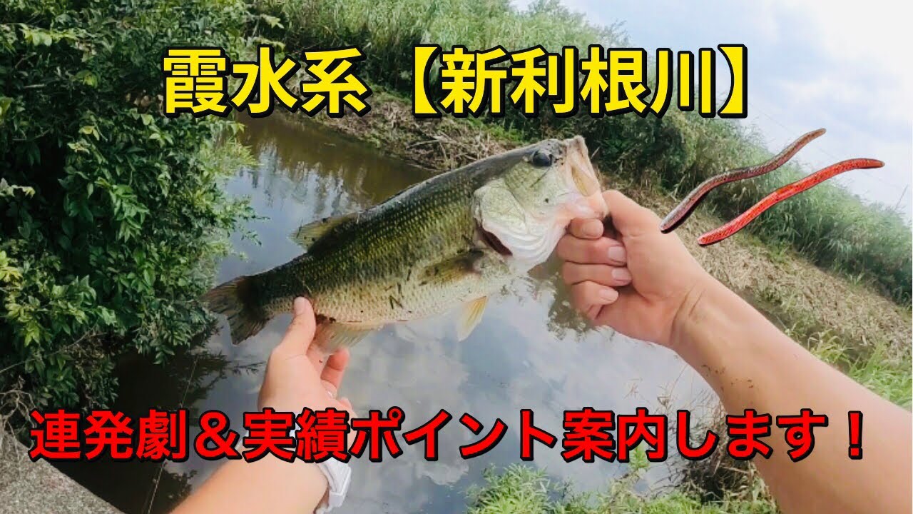 【霞水系】　新利根川で大連発！　実績ポイント案内&【MAP付き】