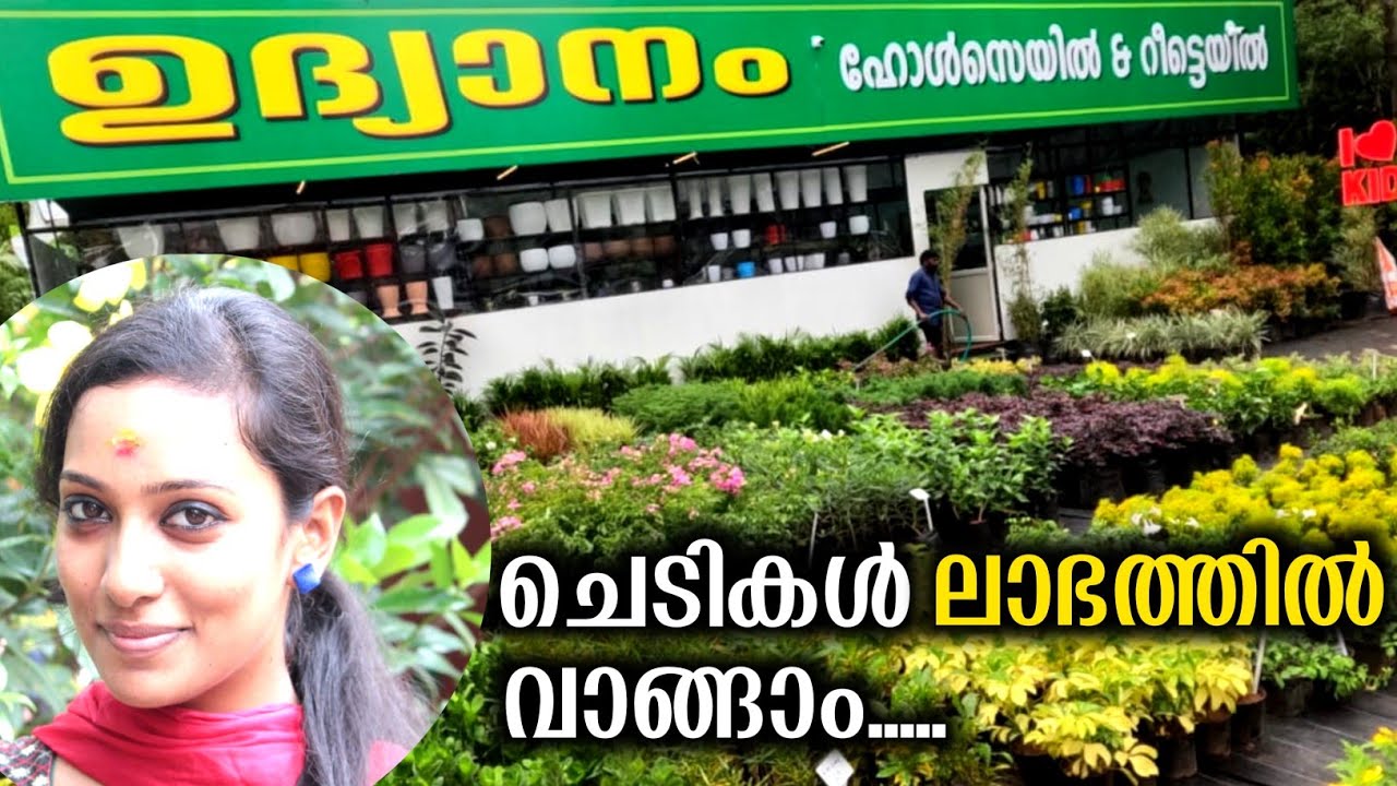 ഇത്രയും വിലക്കുറവിൽ ചെടികൾ എവിടുന്നു കിട്ടും | Garden Plants Indoor And Outdoor Plants | Plants Sale