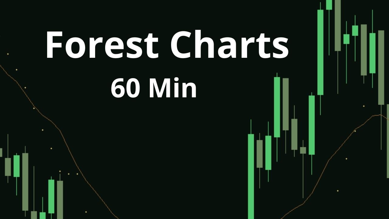 Forest Charts • 60 Min Live Market Ambience