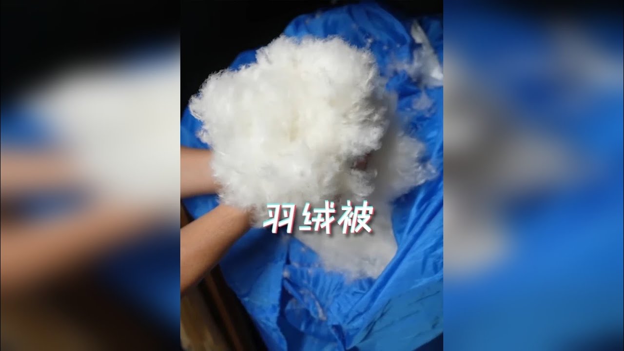 有400多年历史的羽绒被品牌，如何生产售价过万的羽绒被？