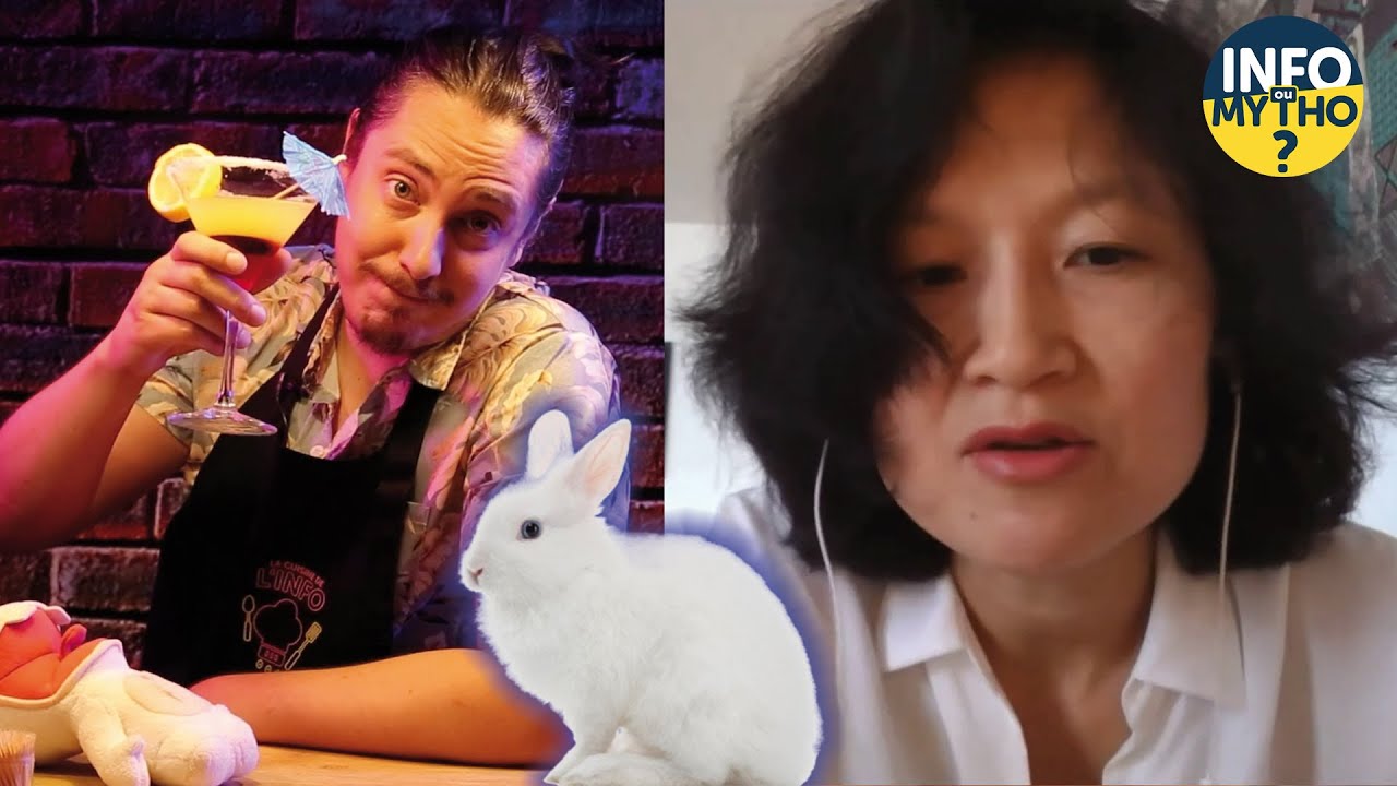 Fake news, gare à l'infoxication élémentaire / La Cuisine de l'info - Info ou Mytho