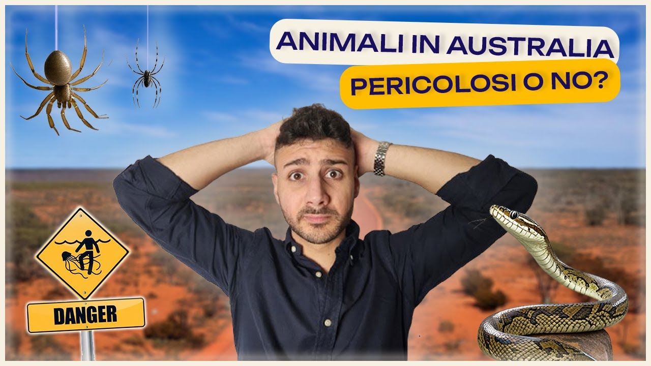 ANIMALI LETALI ☠️ in Australia: Quanto c'è di VERO nei racconti? 🐍