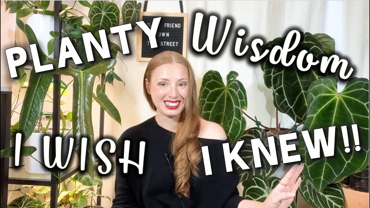 House Plant Wisdom I wish I’d Known! | Rare plant tips for beginners