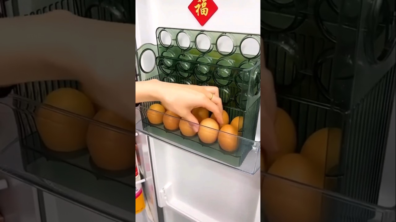 Refrigerator Egg Holder with Automatic tray flip #eggholder #eggs #kitchen @CreativeExposure