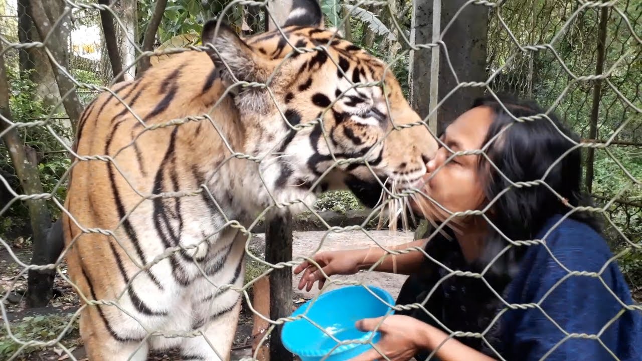 hujan mau turun, mulan di suapin cak sholeh