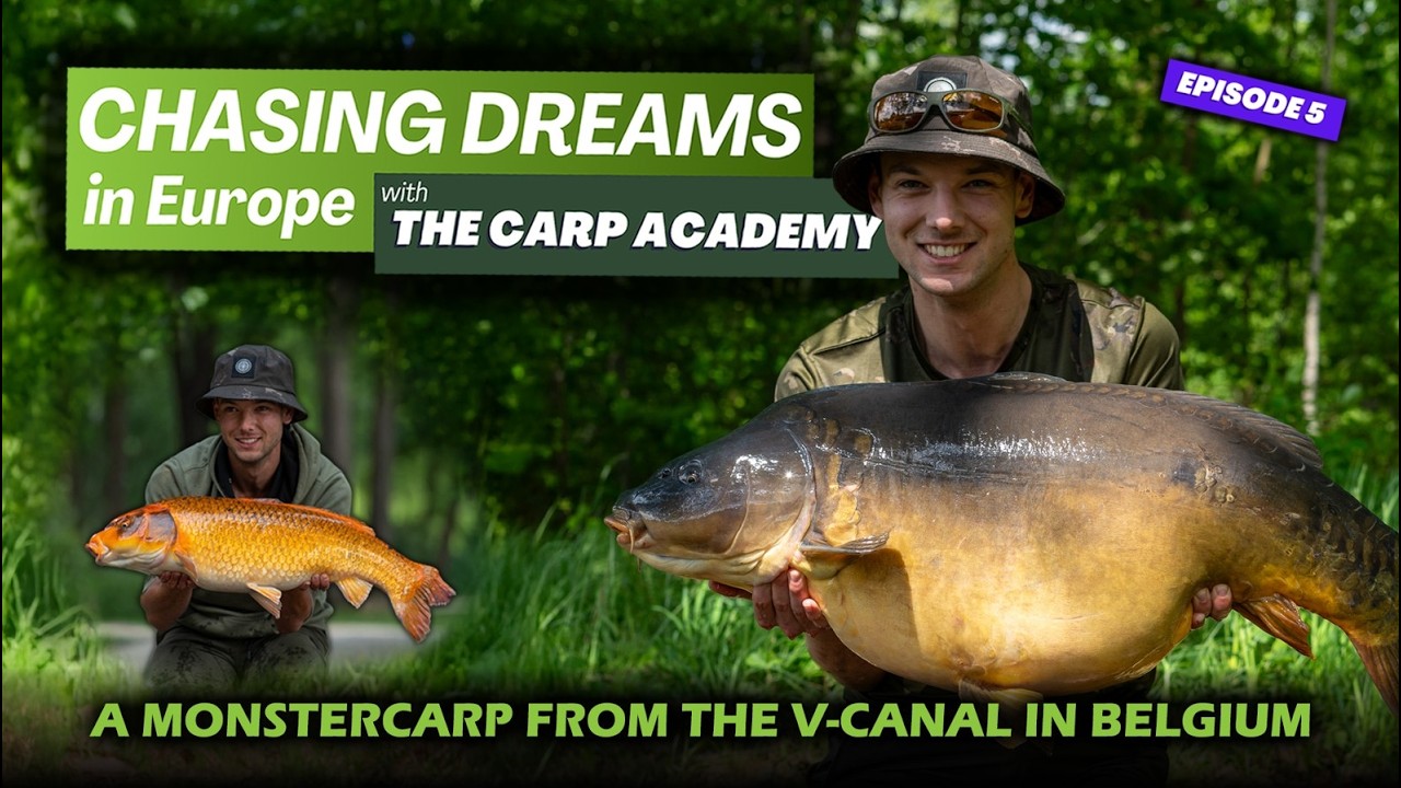 MONSTER CARP FROM THE V-CANAL IN BELGIUM & KOI'S FROM THE PARKLAKE! (4K - ENG)
