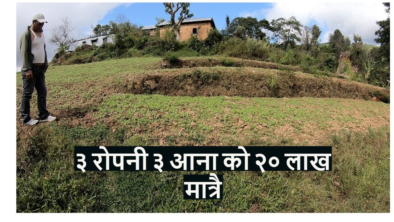 💨 SOLD OUT | 9808392053 ।ललितपुर  NALLU | सस्तो जग्गा | | ३ रोपनी ३ आना  को २० लाख मात्रै