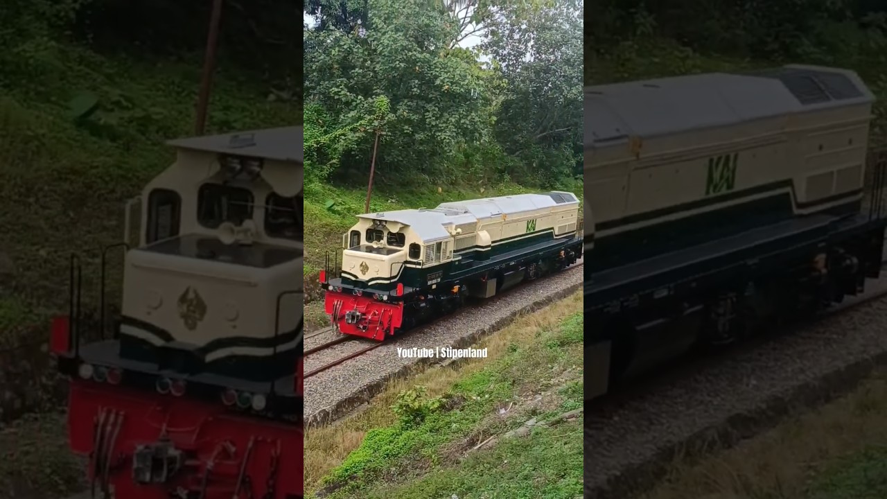 Lokomotif CC 202 Vintage Berjalan Sendirian!!