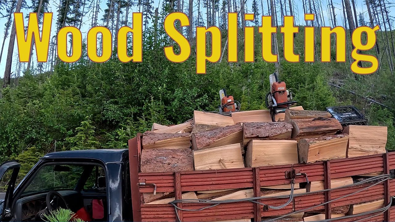 Wood Splitting Process - From Cutting Trees to Splitting Logs