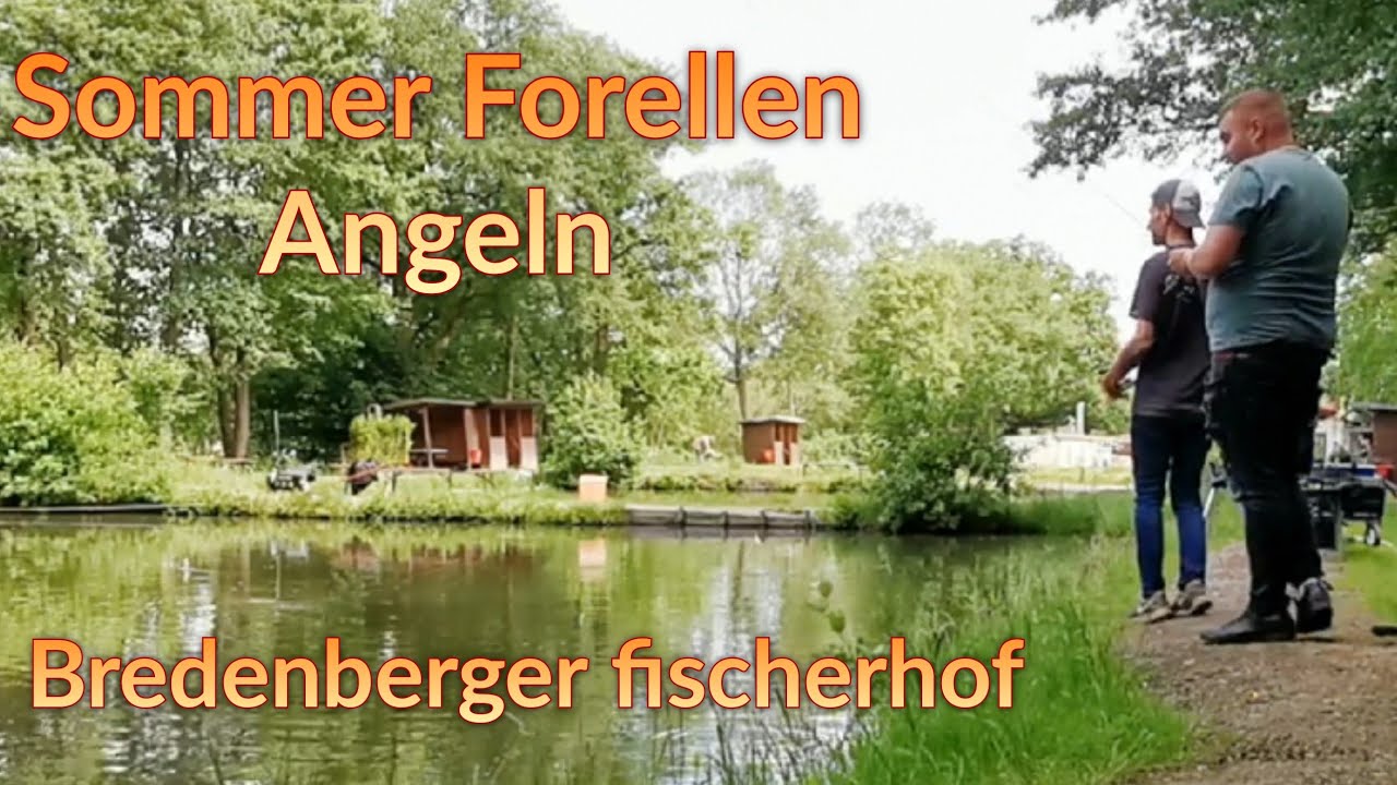 K&uuml;hlbox ist voll im Bredenberger Fischerhof/ Neues Inferno!! / Forellen angeln im Sommer/ ultralight