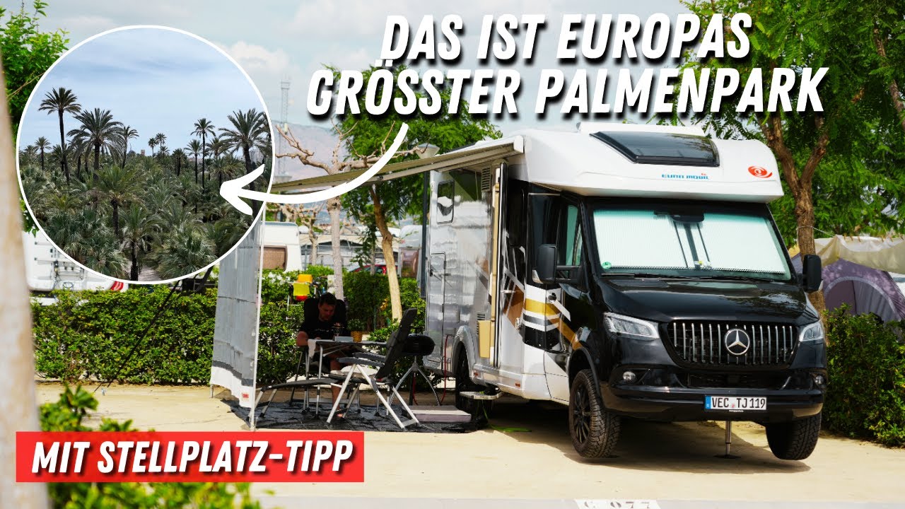 Größter Park mit Palmen in Europa 🌴 Elx / Elche in Spanien 🇪🇸Campingplatz Alannia Costa Blanca