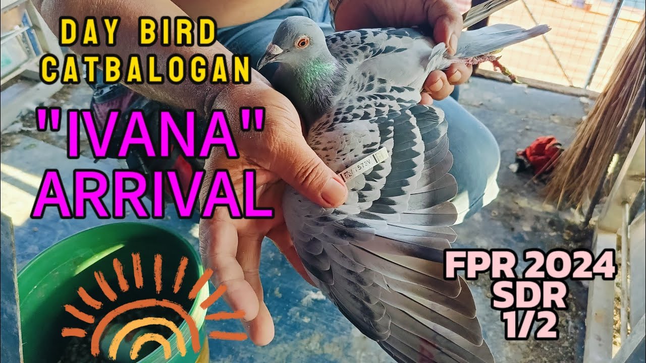 NagkaItlogan na sa Catbalogan ( FPR 5th Lap Catbalogan SDR 2024 )