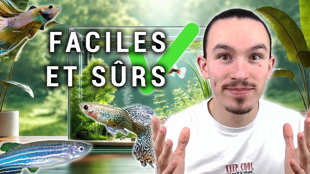 LES 7 MEILLEURS POISSONS pour DÉBUTANTS en Aquarium d'eau douce