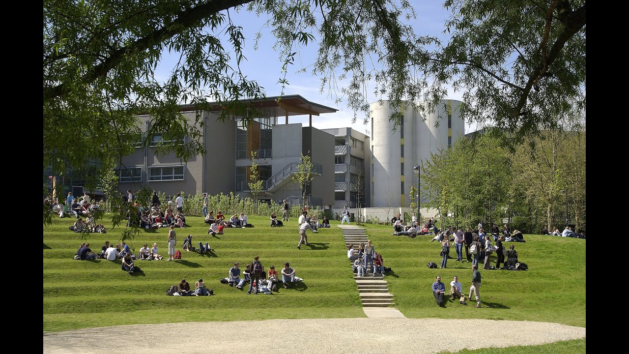 Waarom Taal- en Letterkunde aan de VUB?