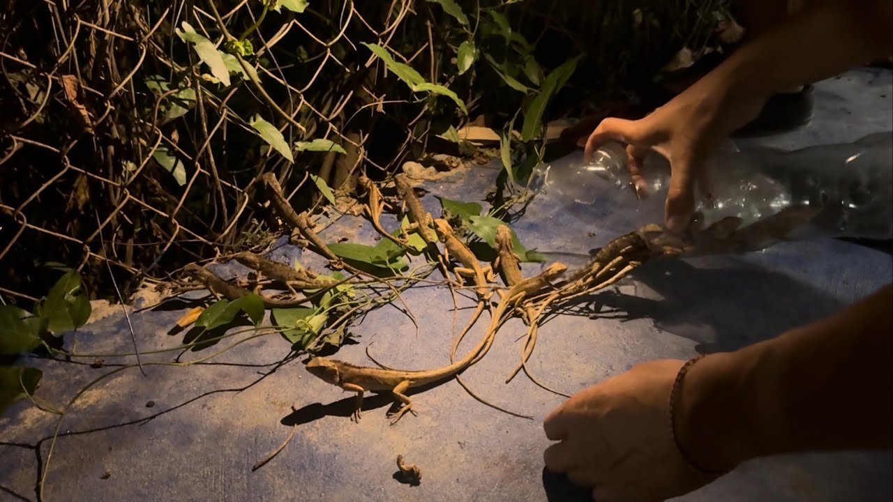 80,000 kip: $4 saves many lives…ເງີນ 80,000 ກີບ: $4 ຊ່ອຍໄດ້ຫຼາຍຊີວິດ