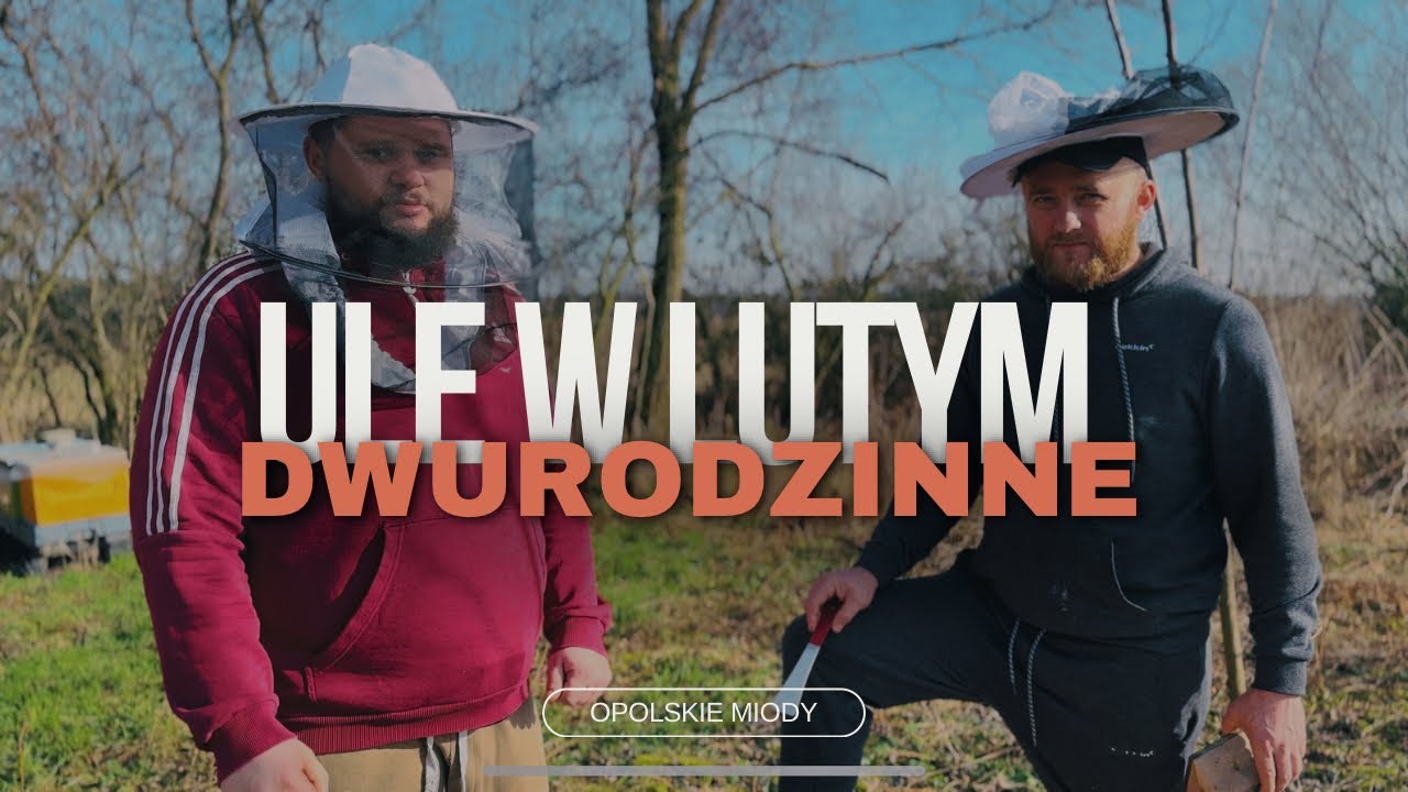 ULE w lutym| system Uli dwurodzinnych 🐝| opolskiemiody