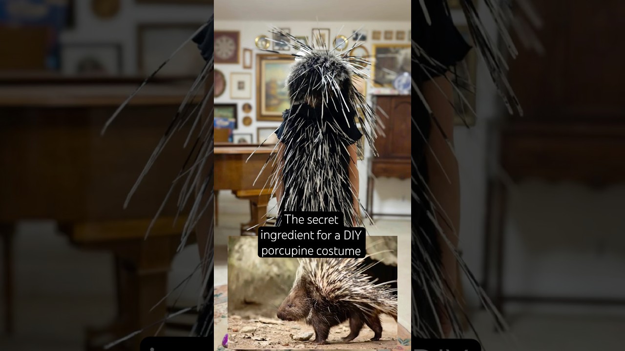 The quickest way to make a DIY porcupine costume (in my humble opinion)! Super fun Halloween costume