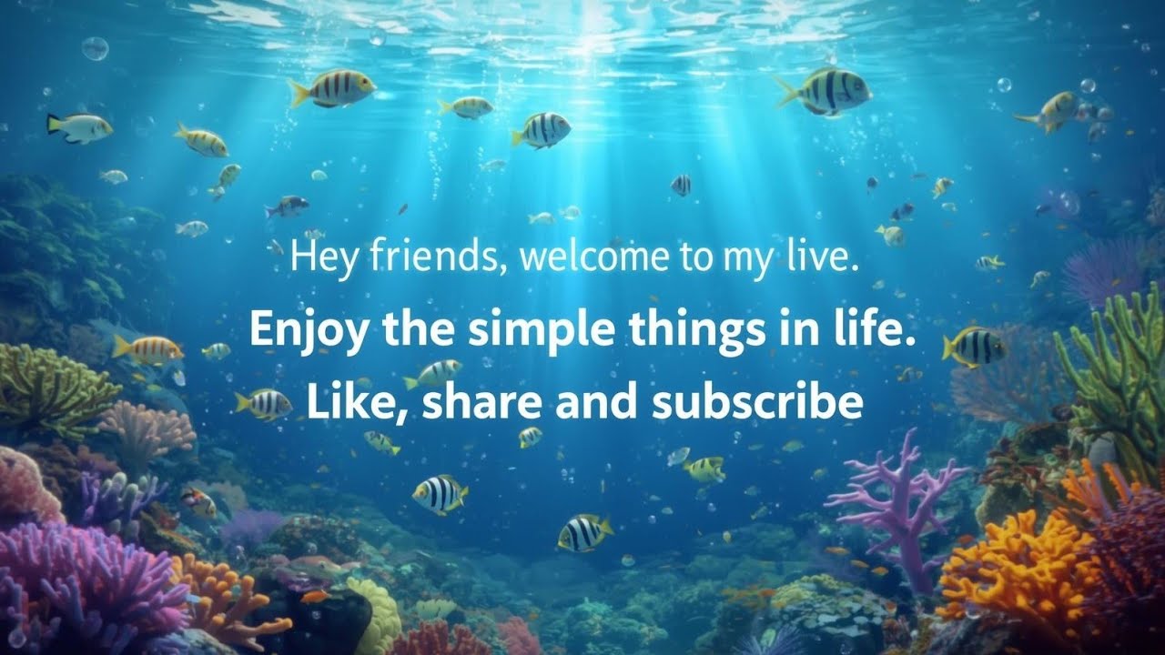🐟🐠🐌Aquarium Relaxing & Calming/Reduces Stress and Anxiety.Enjoy the simple things in life! (silent)