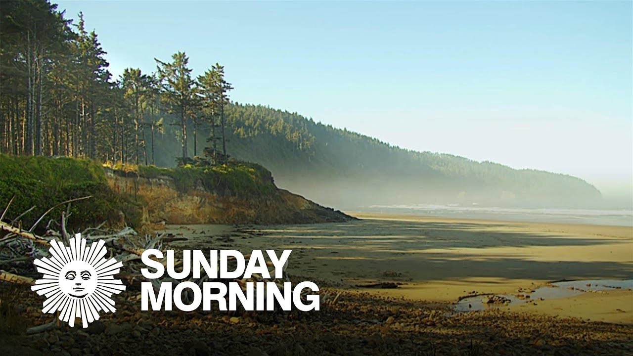 Nature: Oregon coast