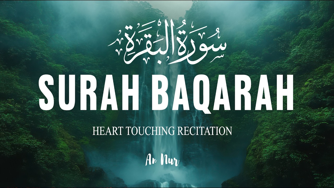 Surah Al Baqarah سورة البقرة | Ultimate Peace & Comfort | Quran for Emotional Healing – By Alaa Aqel