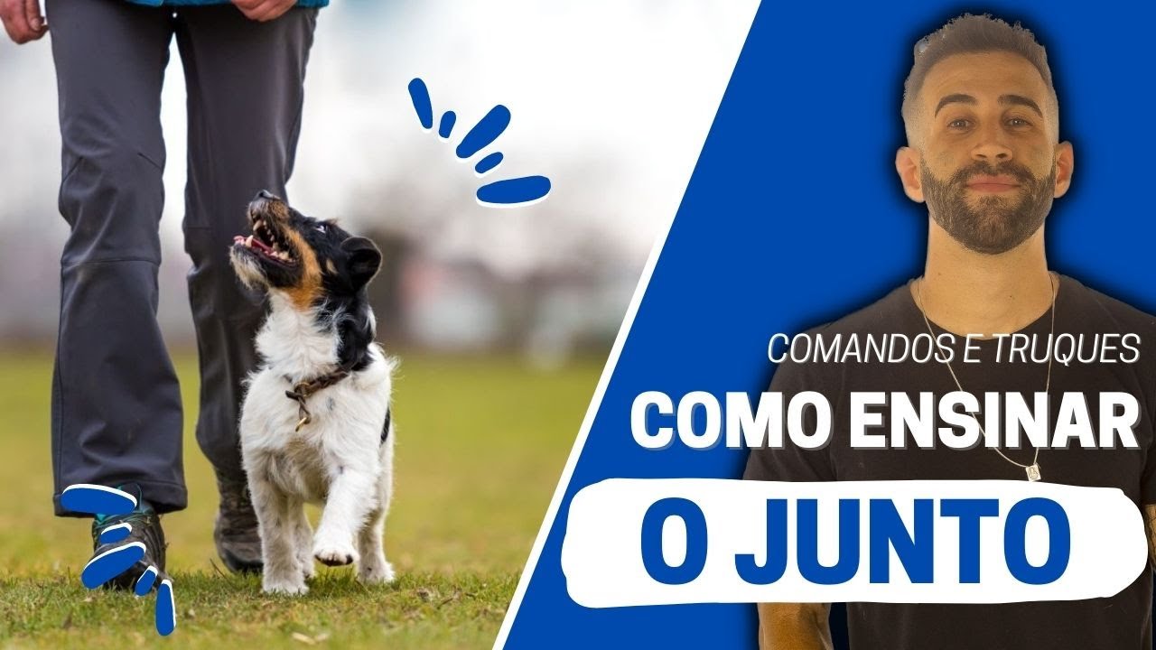 Como ensinar o comando JUNTO