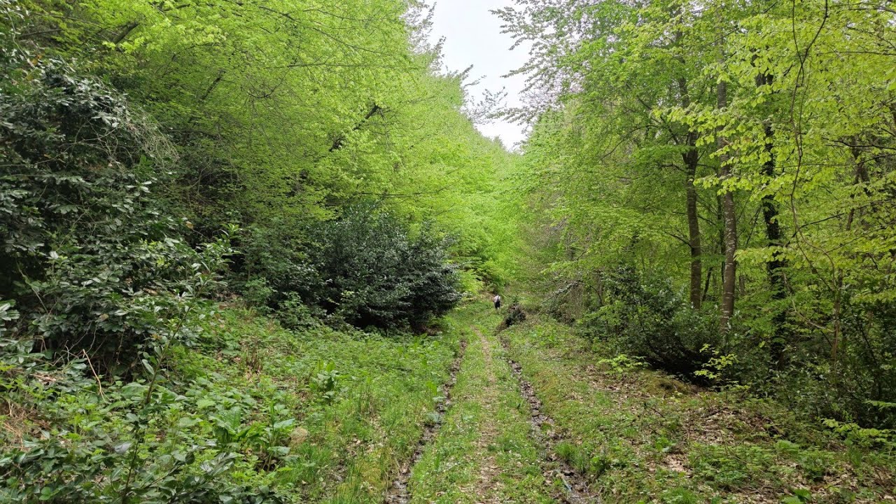 Yalova,güneyköy'ü ve saman dağlarını gezmek..