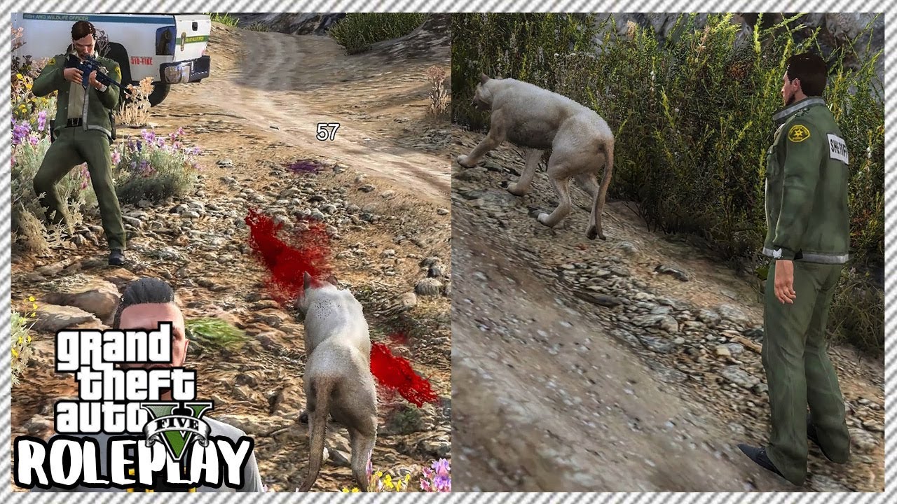 GTA 5 Roleplay - Trey Becomes Park Ranger & Gets Attacked Mountain Lion | RedlineRP #273