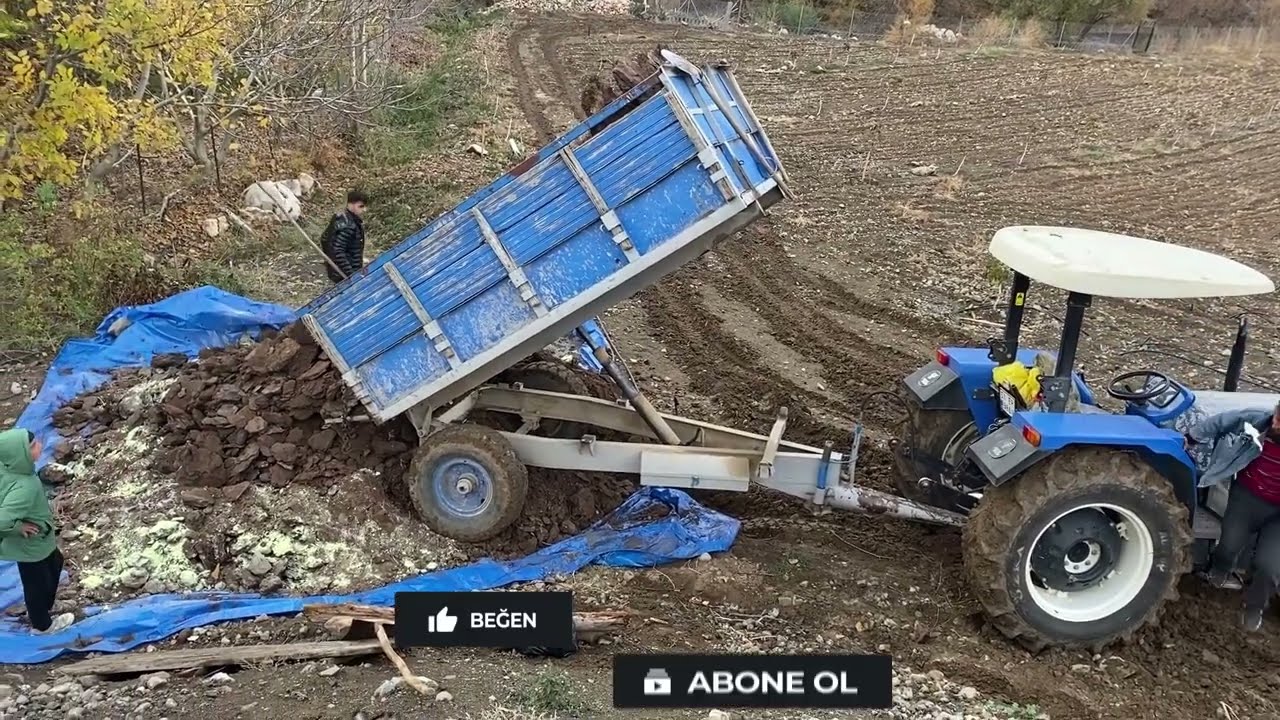 Ceviz ve Üzüm Bahçesi İçin Yanmış Gübre Sırrı!