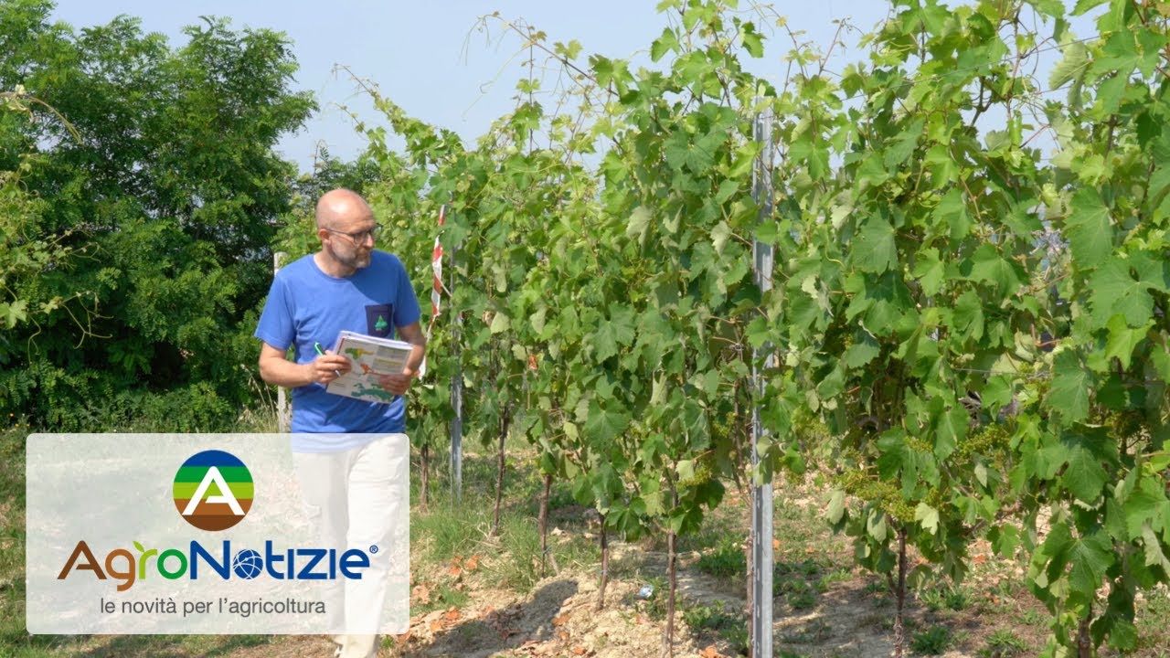 Sostenibilità e responsabilità: parole chiave per Anadiag