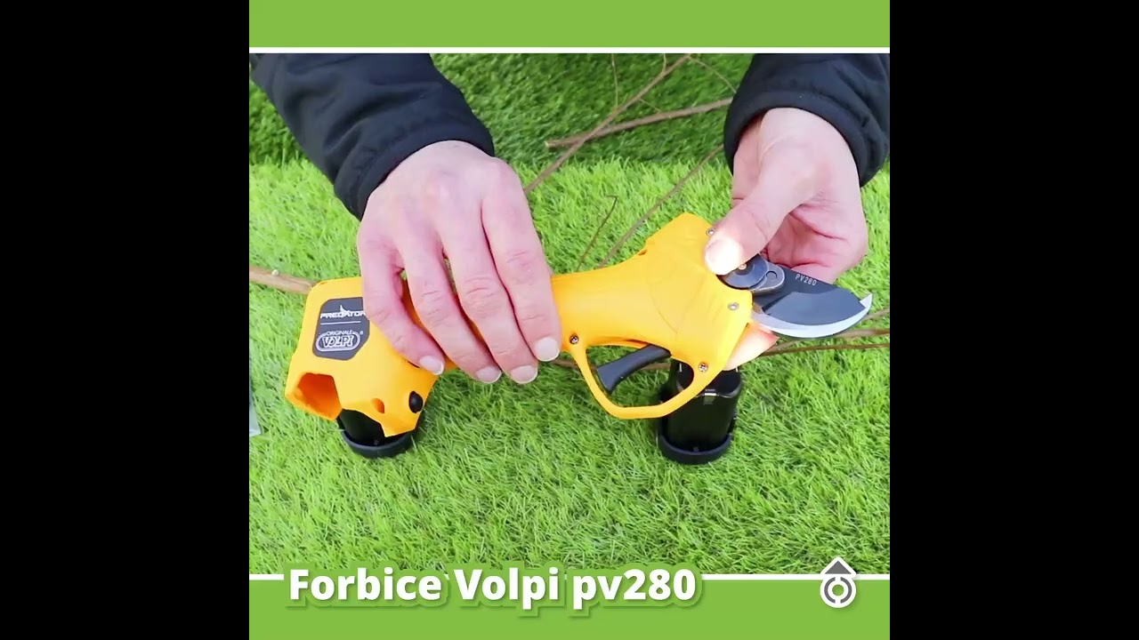 Forbice Volpi pv280