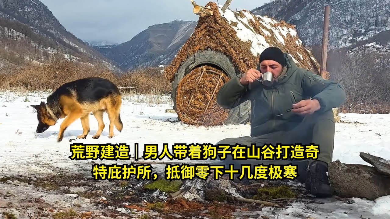 第334集: 荒野建造｜男人带着狗子在山谷打造奇特庇护所，抵御零下十几度极寒 | 在野外建造
