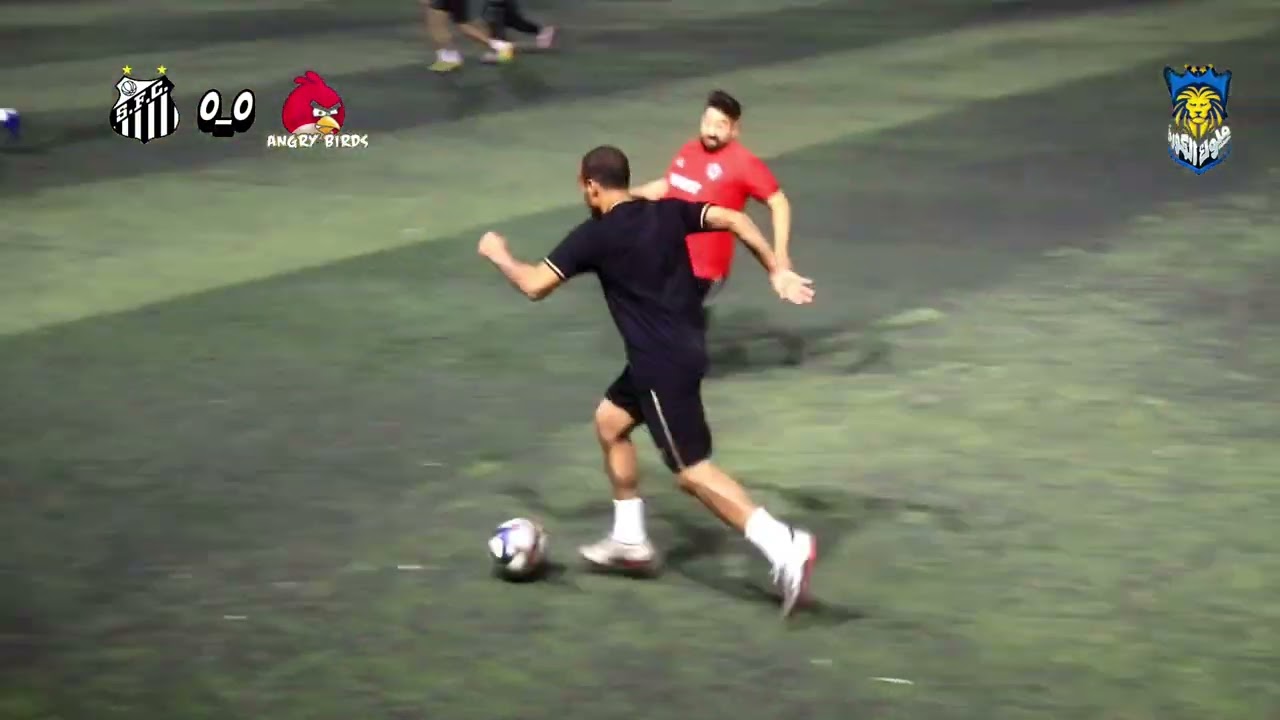 ملخص مبارة الطيور وسانتوس 1_0